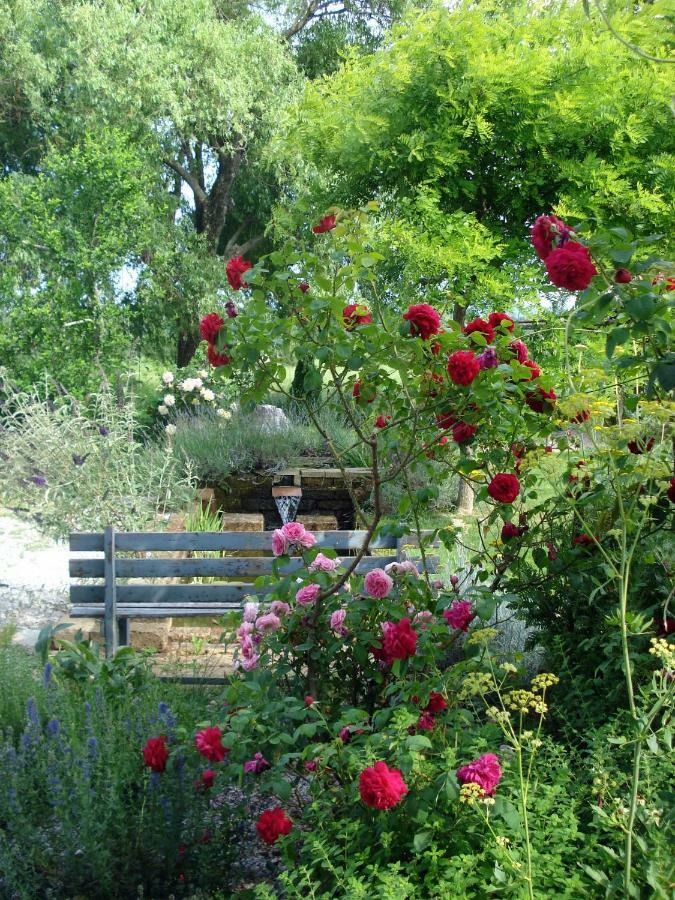 Ca' Ninota Villa Pianfei Екстериор снимка